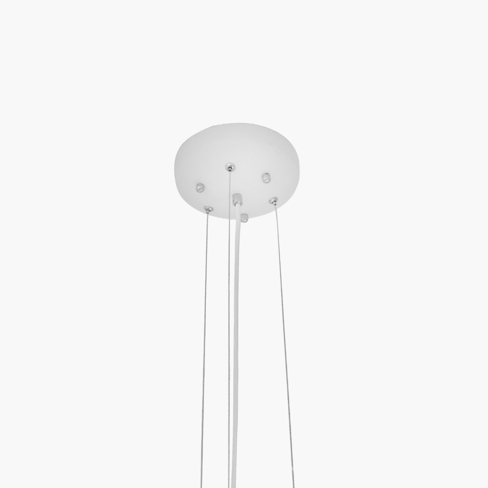 Pendants light fixture