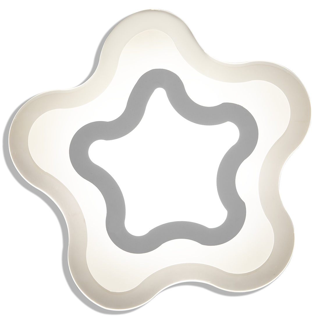 Fleur Modern Led  Ceiling Light